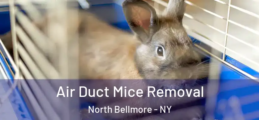 Air Duct Mice Removal North Bellmore - NY