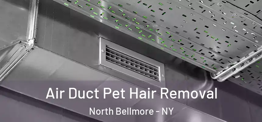  Air Duct Pet Hair Removal North Bellmore - NY