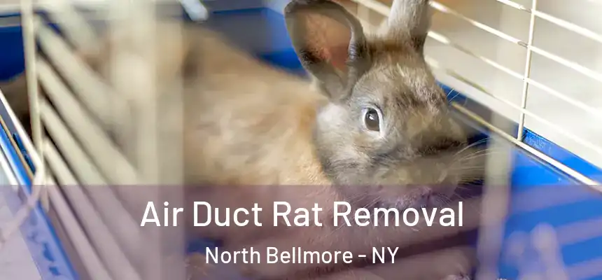 Air Duct Rat Removal North Bellmore - NY