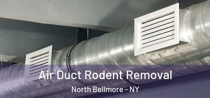  Air Duct Rodent Removal North Bellmore - NY