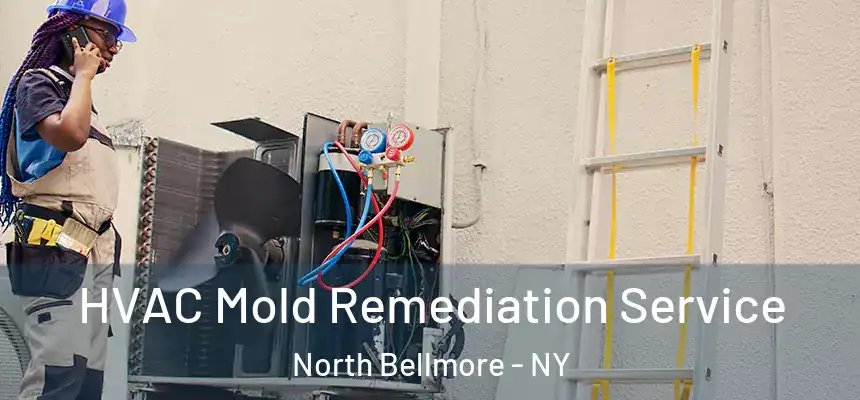  HVAC Mold Remediation Service North Bellmore - NY