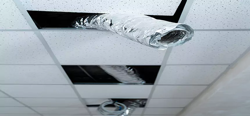 Affordable HVAC Sanitizing After Pest Removal in North Bellmore