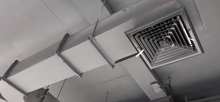 Restorative Allergy Relief Vent Cleaning – Coil, Blower & Housing Detail in North Bellmore