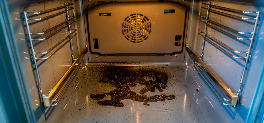 Our Dryer Vent Mold Cleaning Services in North Bellmore, NY