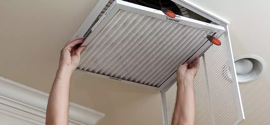 Our Insect Removal from Air Ducts Services in North Bellmore, NY