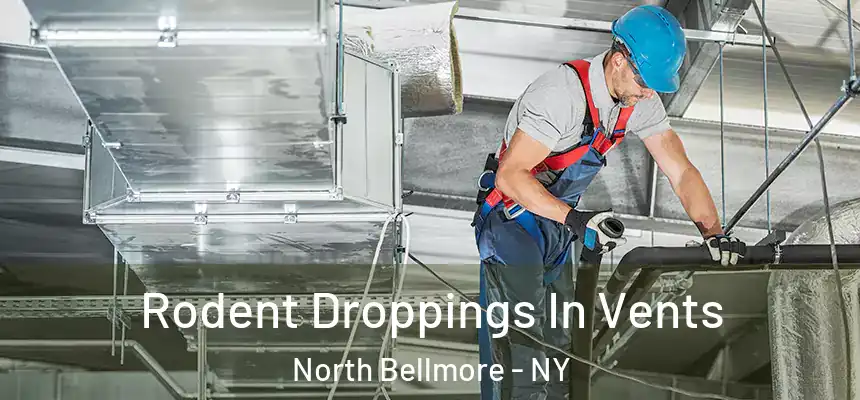  Rodent Droppings In Vents North Bellmore - NY