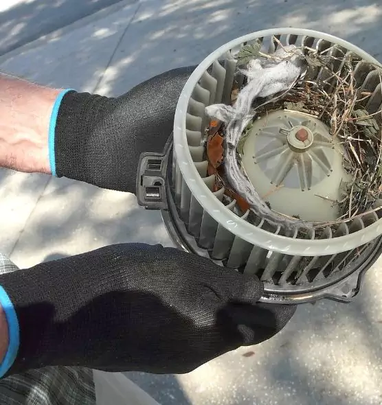 About Air Duct Rat Removal in North Bellmore, NY